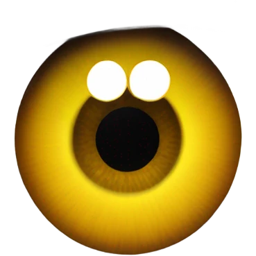 Eye  emoji