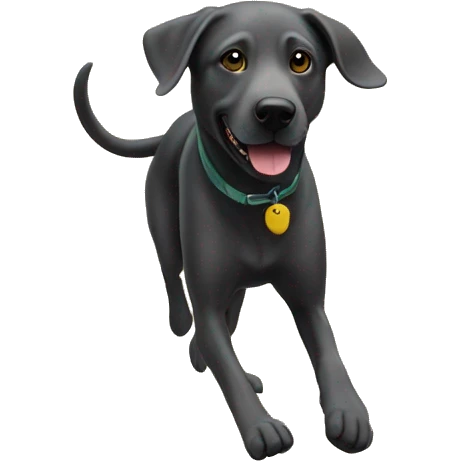 Charcoal lab running on beach in Hawaii  emoji