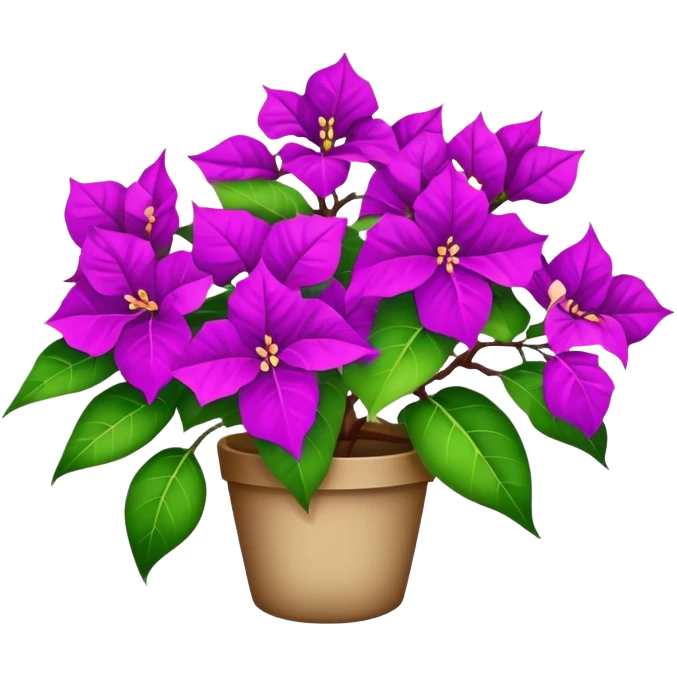 Bougainvillea  emoji