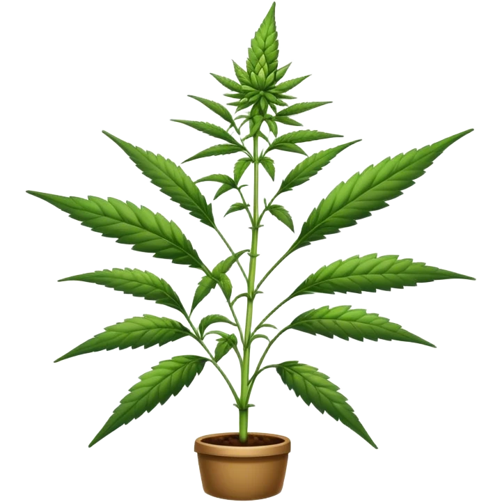 weed emoji