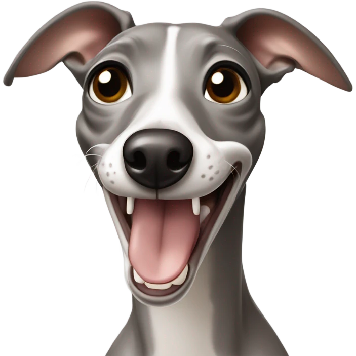 Grey and beige italian greyhound laughing  emoji