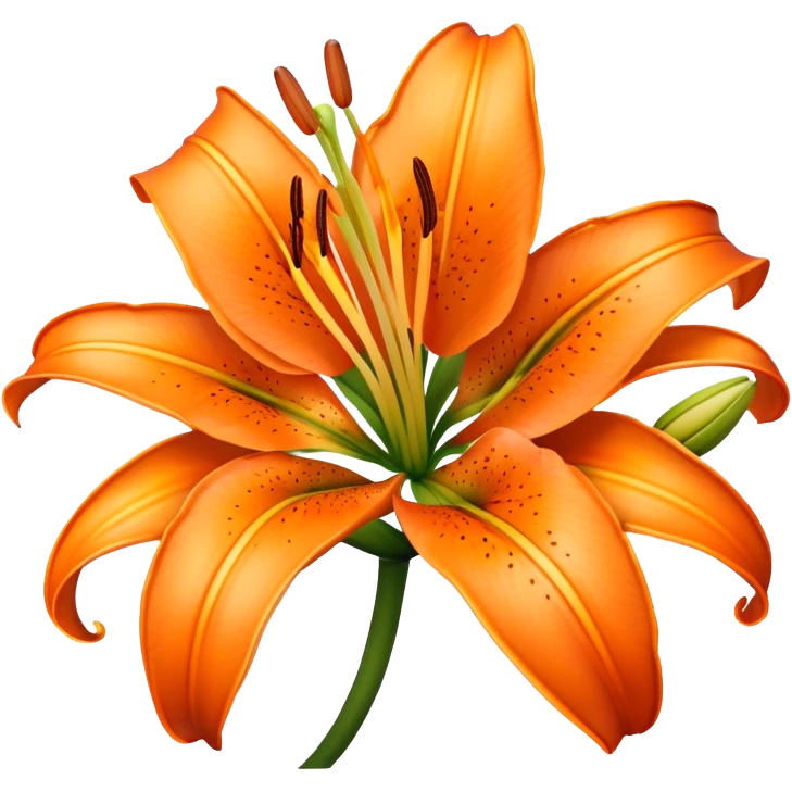 Orange Lily flower emoji