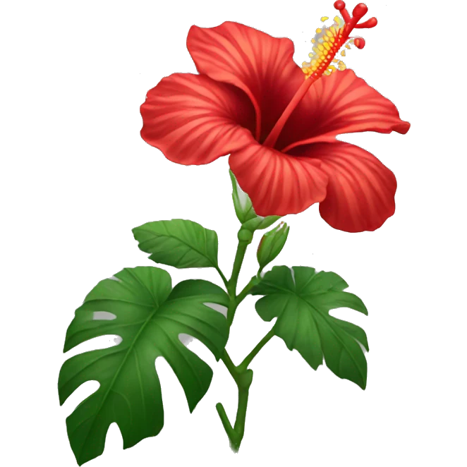 Red hibiscus flower  emoji