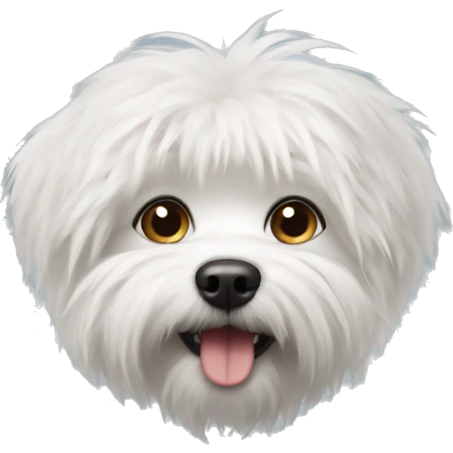 Small white scruffy dog emoji