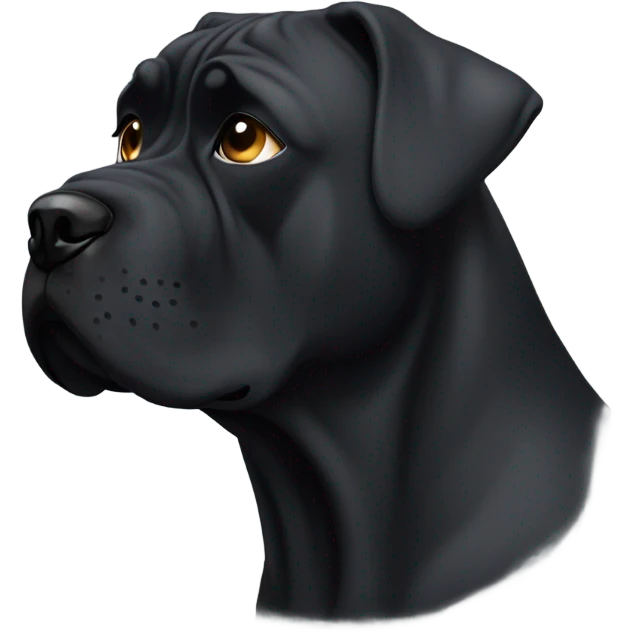  A CaneCorso with a tear in his left eye. emoji