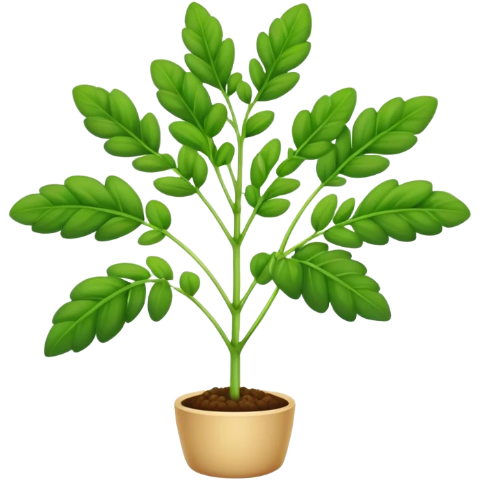 Fenugreek plant  emoji