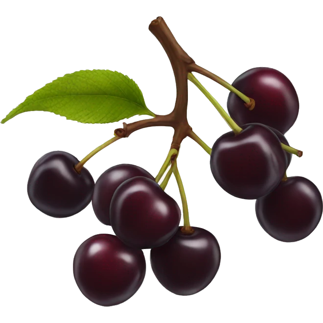 Black cherry emoji
