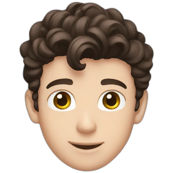 Shawn mendes emoji