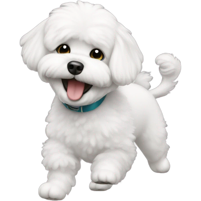 Bichon dancing  emoji
