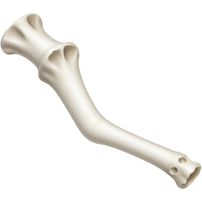  leg bone with tiny holes emoji