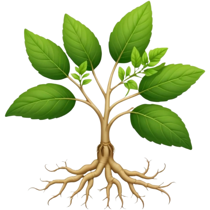 wild ginseng plant with leaves and root emoji