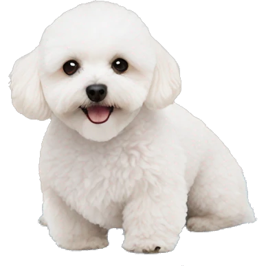 White maltipoo yoga mat emoji
