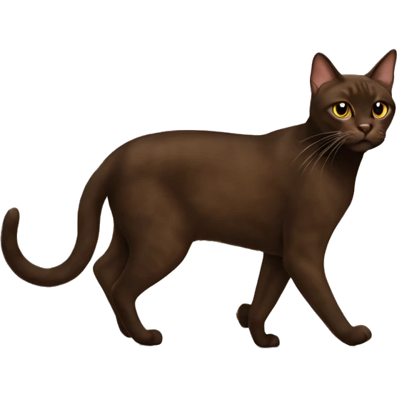 Havana brown cat walking  emoji