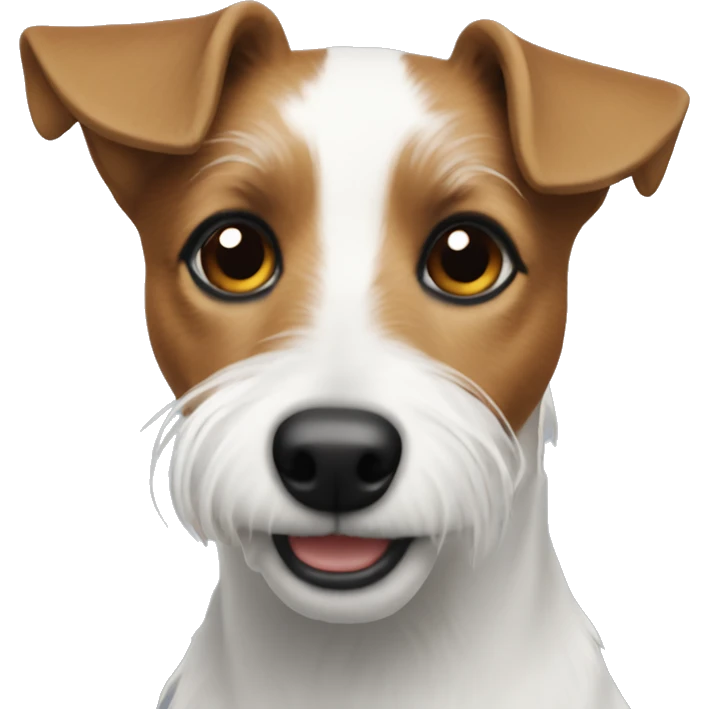 Wire hair Jack Russel  emoji