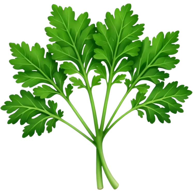 single parsley leaf, fresh, bright green, serrated edges, natural curves, glossy, fine central vein, branching lobes, no stem bunch, no background, soft lighting, emoji scale emoji