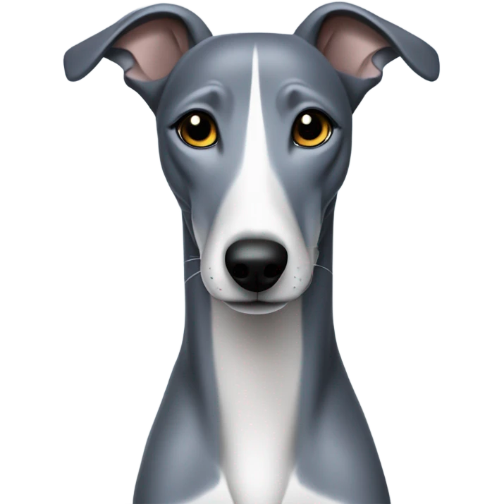 Blue whippet with no white mark emoji