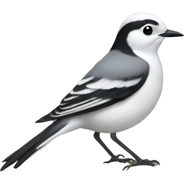 White wagtail emoji