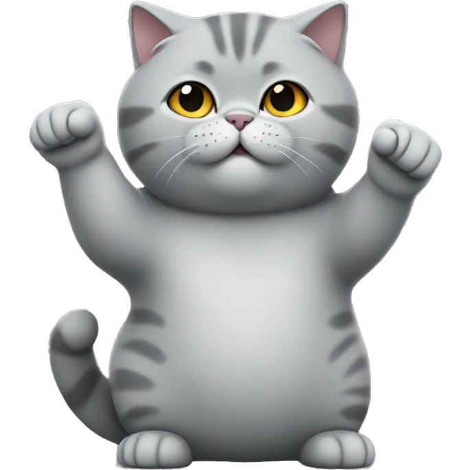 grey fat British shorthair cat raising its right hand  emoji