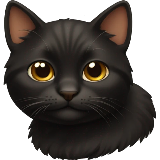 Puffy black cat with brown chest  emoji
