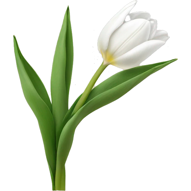 white tulips emoji