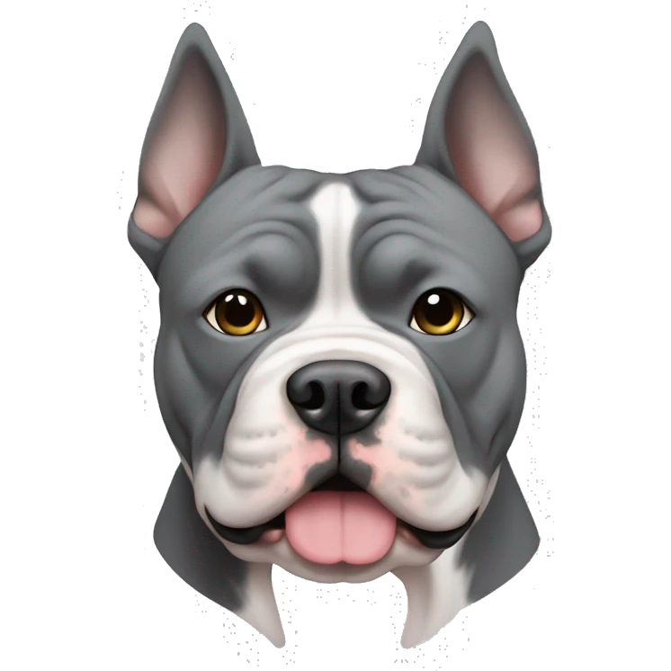 gray American bully with white muzzle and erect ears emoji