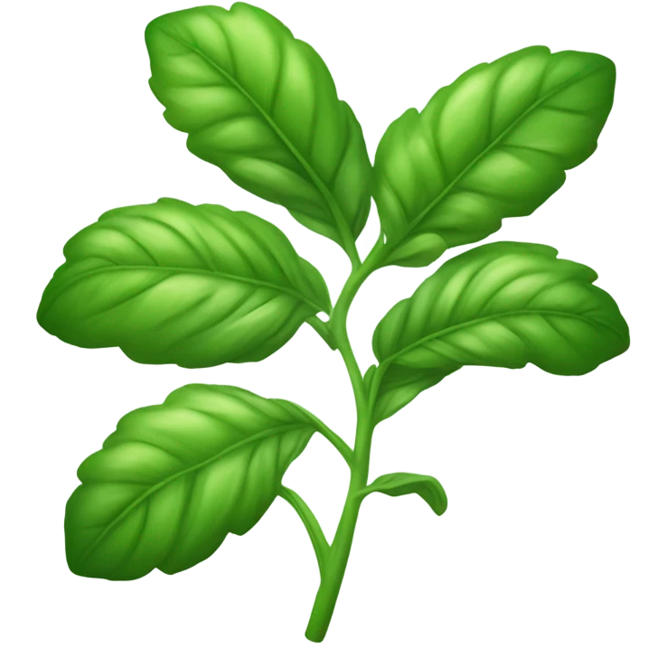 Basil emoji