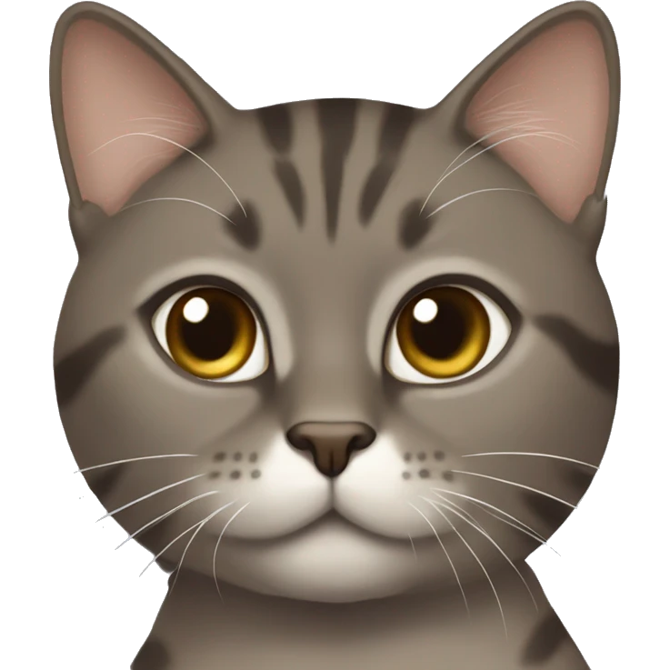 brown-greyish cat with white chin and chest painting  emoji