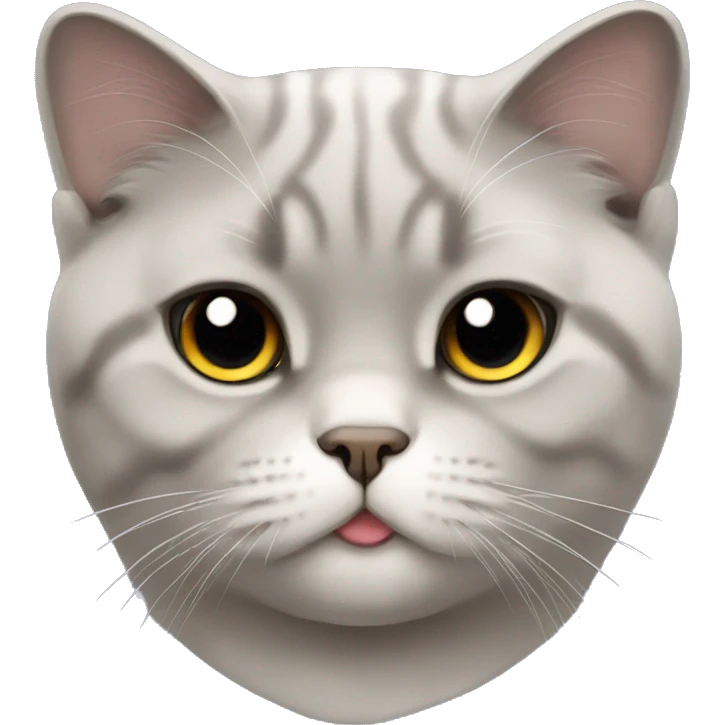 Cat Scottish fold emoji