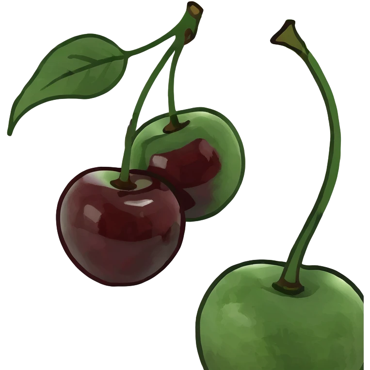 3D style pair of deep burgundy cherries with green stem, rich dark red color emoji