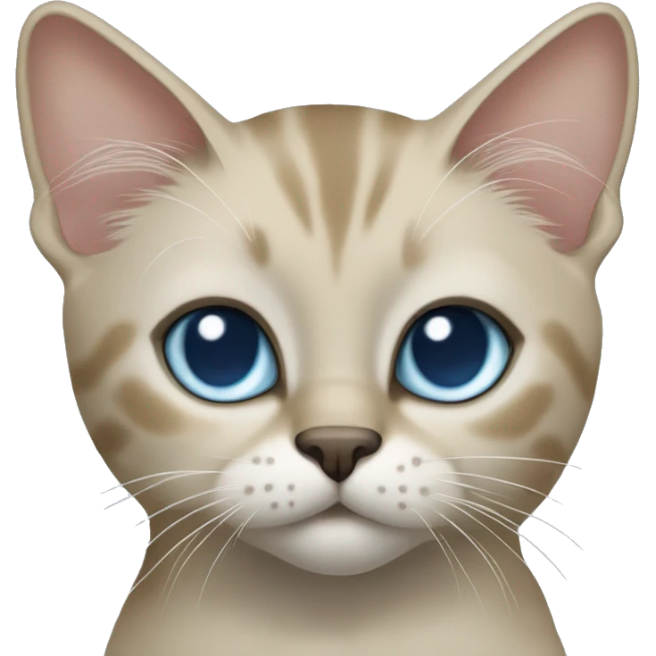 Thai breed cat with a light cream-brown body, dark gray nose and face, ears, and paws. sharp ears, and striking light blue eyes  emoji