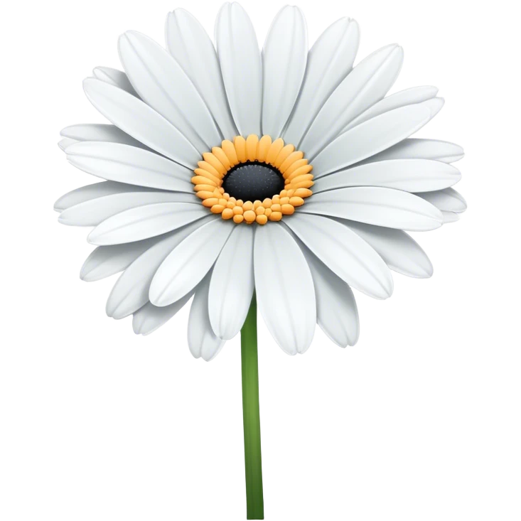 single White Gerbera Daisy, straight stem emoji