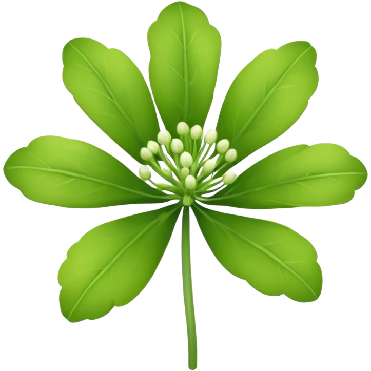 Galbanum flower emoji