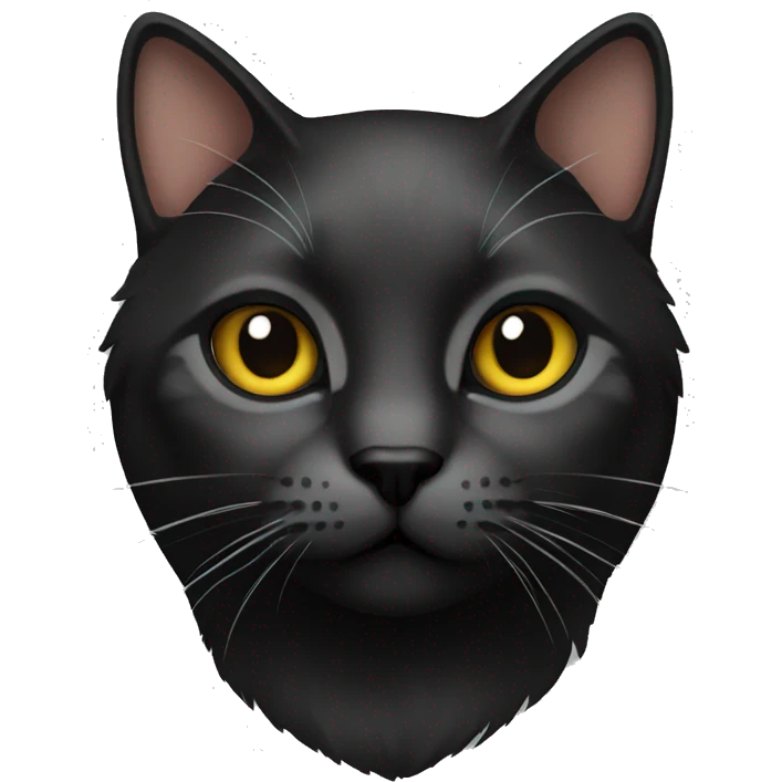 Cat black emoji