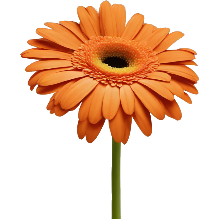 orange one flower gerbera emoji