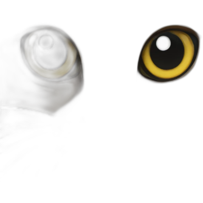 Cat’s eye emoji