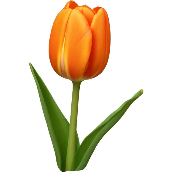 Orange tulip  emoji