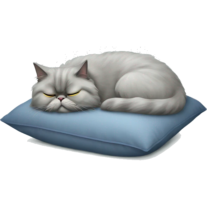 Grey Persian cat napping on pillow  emoji