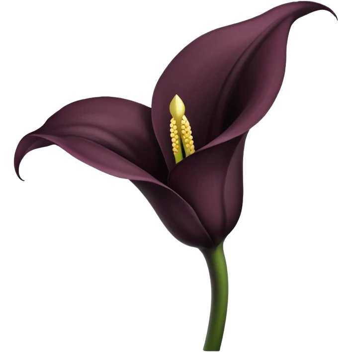 Black color, Black star Calla lily emoji