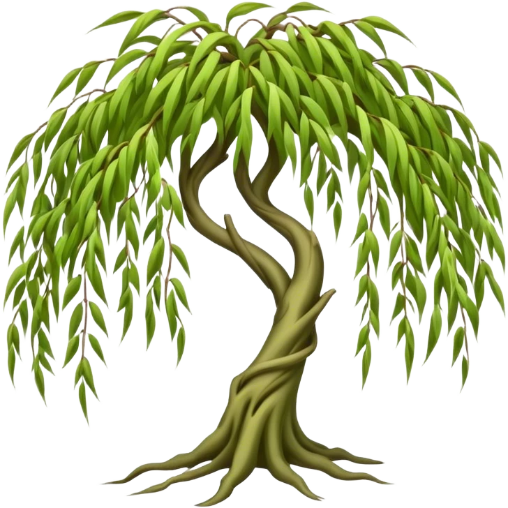 Weeping willow tree  emoji