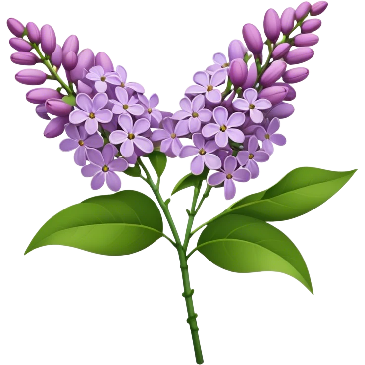 single bunch lilac flower, straight stem emoji
