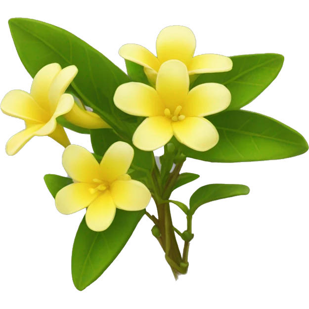 yellow Chrysojasminum humile Plant emoji