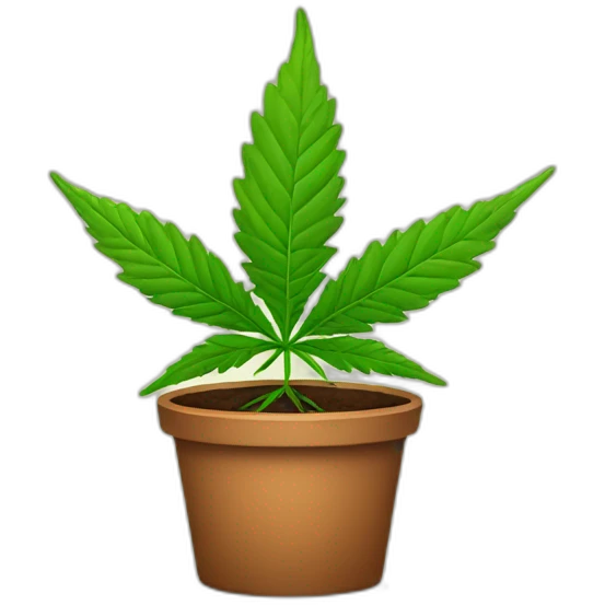 young-cannabis-plant emoji