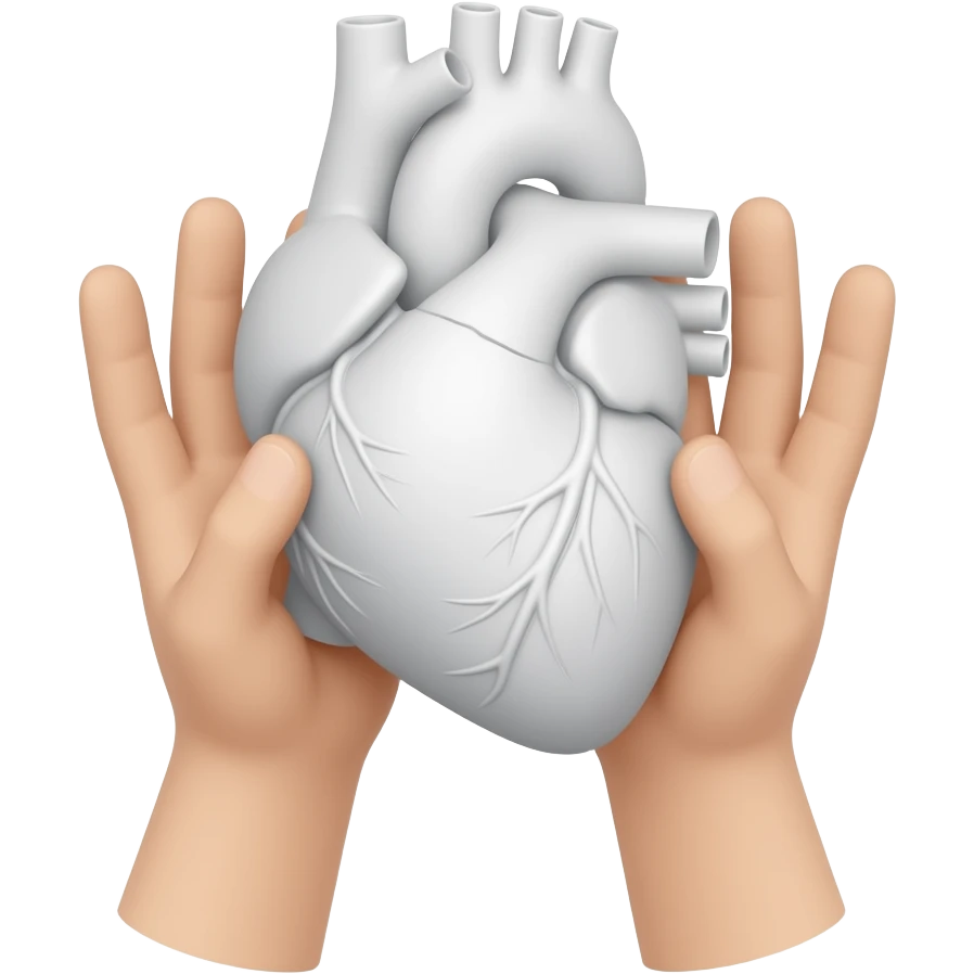 руки от первого лица по локоть держат анатомическое сердце белого цвета emoji