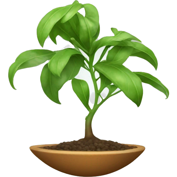 Vela aromática  emoji