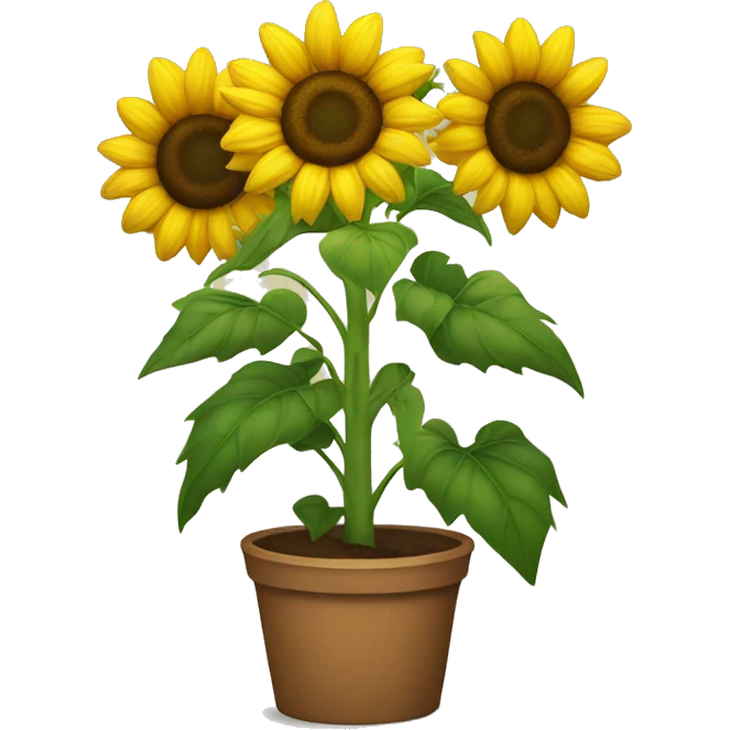 Sunflower emoji
