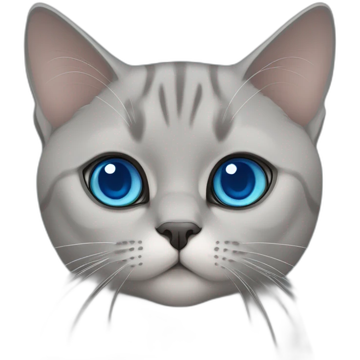 british shorthair and scottish straight mixed cat with blue eyes emoji