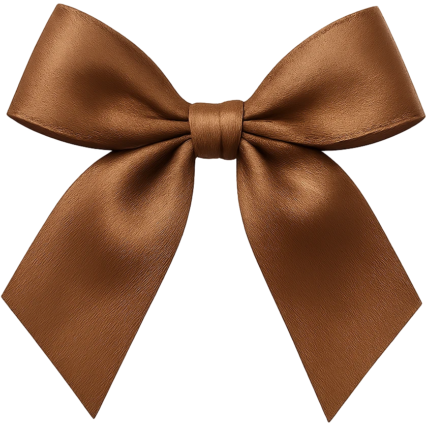 brown bow, remove background emoji