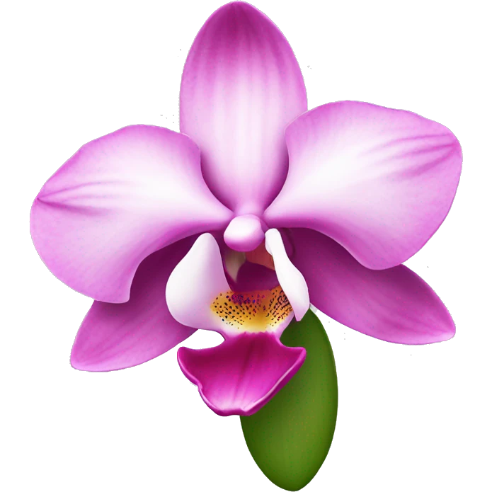 Beautiful pink orchidee emoji