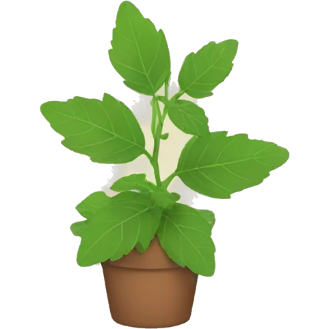 catnip plant no cat emoji