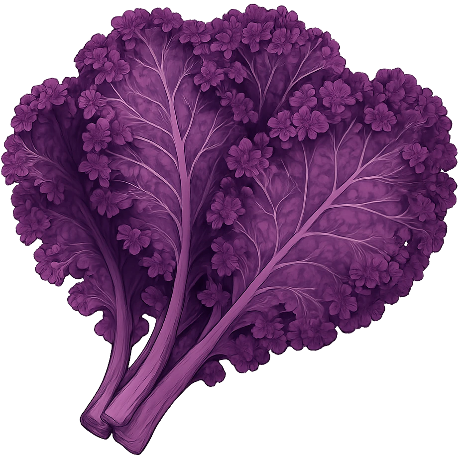 purple kale, realistic, purple hues, detailed icon, no background emoji